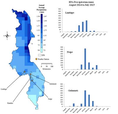 Smallholder Farms and the Potential for Sustainable Intensification